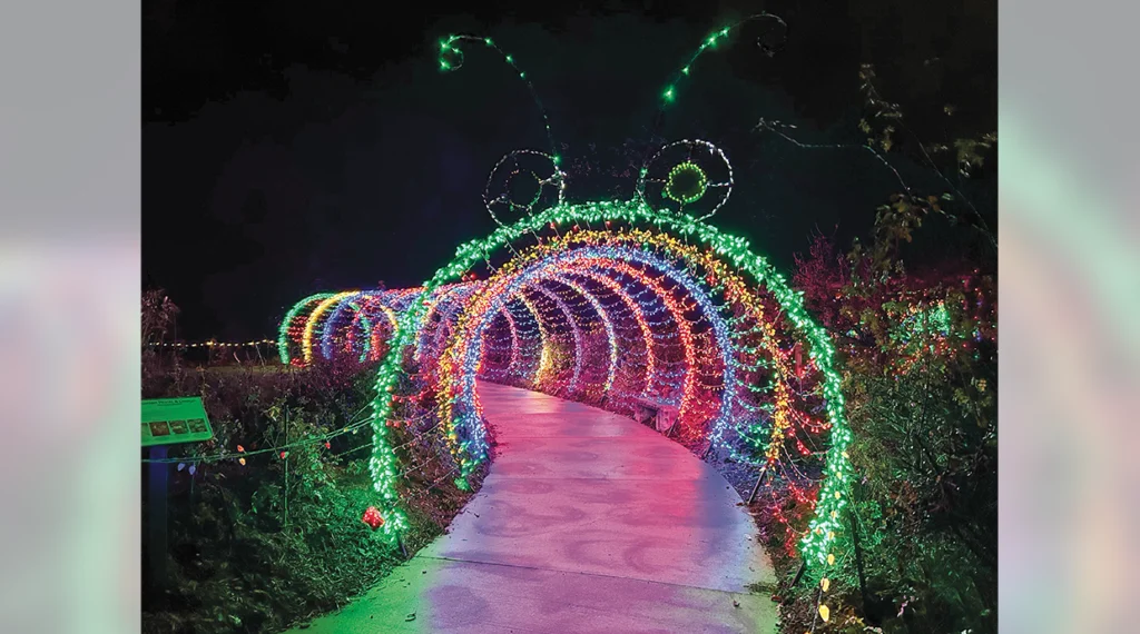 Local 158 sponsors the caterpillar display at the Green Bay Botanical Garden of Lights.