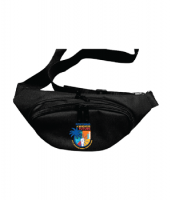 41st-ibew-convention-fannypack